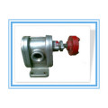 2cy Stainless Steel High Pressure Gear Oil Pump